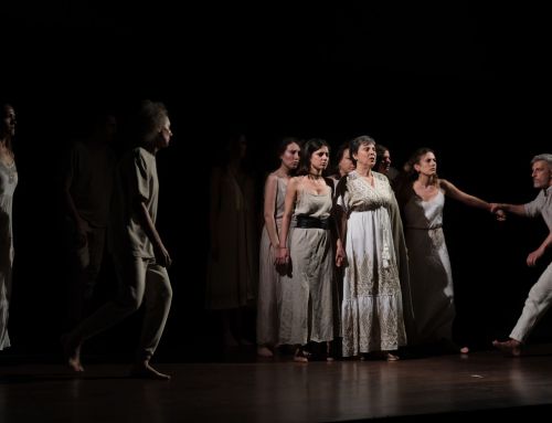 Le sale di Dedalo Teatro sono già attive