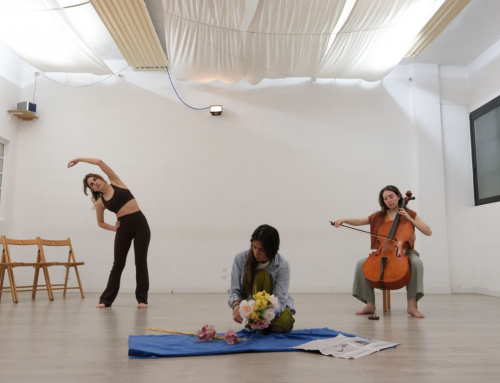 Dedalo Teatro selezionato da Triennale Milano per “Burri Palcoscenico Aperto”